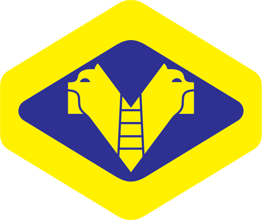 Logo_Verona_1984