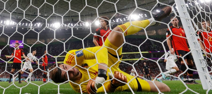 Courtois, Belgium, Morocco